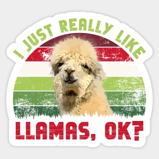 I Just Really Like Llamas, OK? Sticker